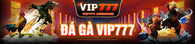 đá gà vip777